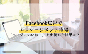 あなたがいいねページ facebook-ads-likepage1-1-